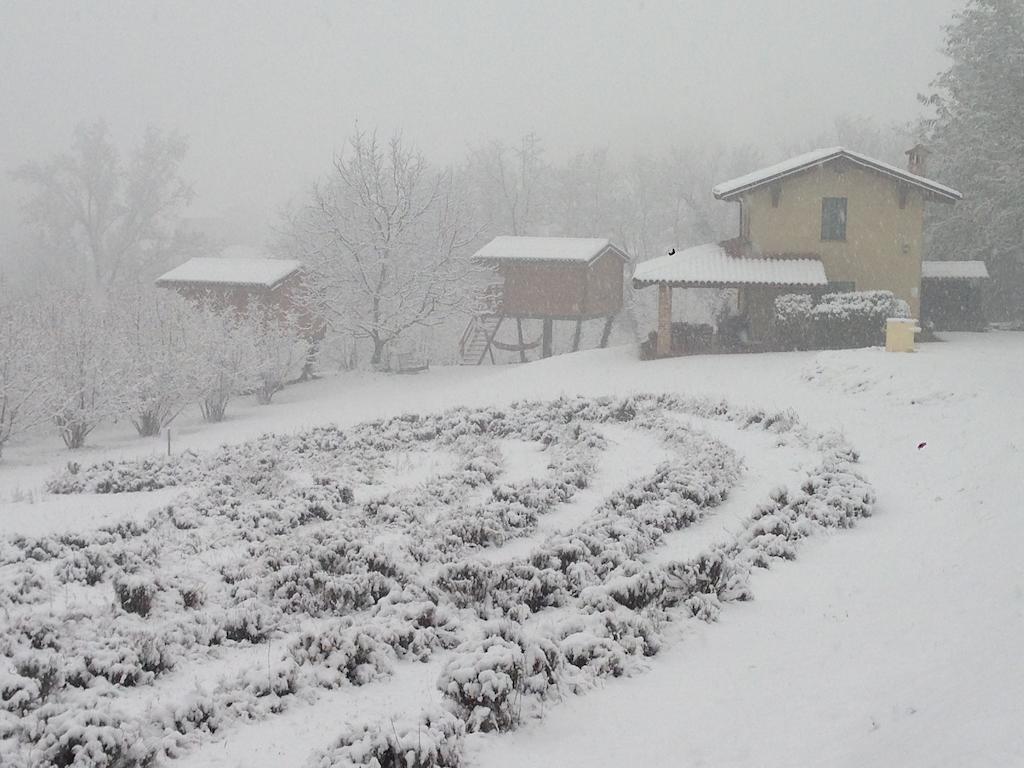 Ecolodge Langhe Cherasco Zewnętrze zdjęcie